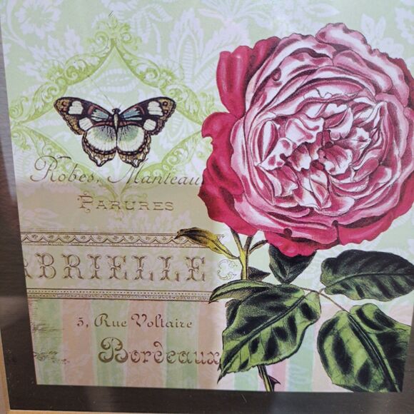 Shirley Novac Cosmos Garden 2 Glass Framed Prints Wall Art 13"X13" - Picture 3 of 10